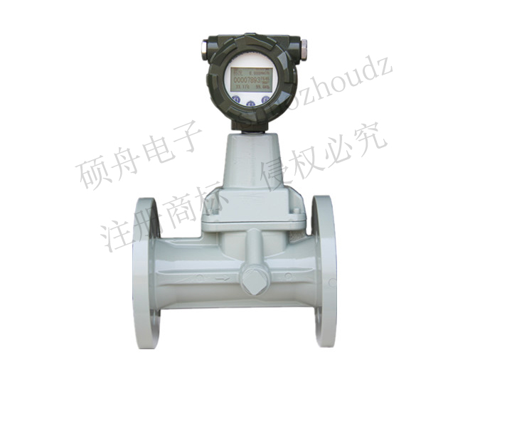 旋进旋涡流量计